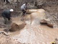 Colossal Statue Fragments found in Egyptian Mudhole