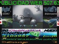 PUBLICIDADWEB 50763103957