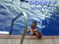 ¡Veamos a donnywarrior en Twitch!