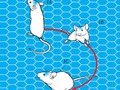 Neuroscientists Wirelessly Control the Brain of a Scampering Lab Mouse: