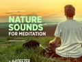New favorite: Playlist Nature Sounds for Meditation by Hendrik - Wellness Editor DeezerLatam