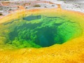 Deep-dwelling bacteria could rewrite understanding of where alien life could take Single-Organism Ecosystem!