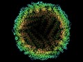 Cryo–electron microscopy breaks the atomic resolution barrier at last It's like reaching Si…