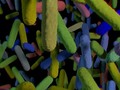 The Simplified Guide to the Gut-Brain Axis – How the Gut and The Brain Talk to Each Other