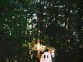 Discover Ghost on the River by Eremos via HeyGroover #GrooverEffect