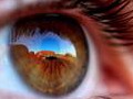 National Geographic Photo Contest 2011
