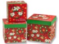 HAPPY LIVING: ATTRACTIVE CHRISTMAS GIFT BOXES & BAGS