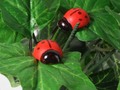 HAPPY LIVING: Halloween: Ladybug Theme Items