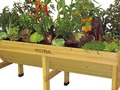 What Vegetables Can You Grow In Containers?
