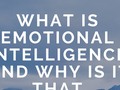Holiday Gifts For Self-Improvement: What Is Emotional Intelligence And Why Is It That ...
