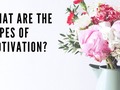What Are The Types Of Motivation?