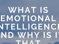 What Is Emotional Intelligence And Why Is It That Important? - via sunyoananda