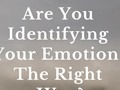 Are You Identifying Your Emotions The Right Way? - via sunyoananda