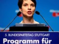 German right-wing leader backs citizens' right to arm themselves