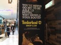 ⚡️ “These ads feed on people's economic anxieties”