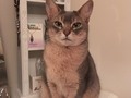 ⚡️ “These cats are ready for the weekend 🐱”