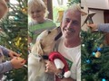 MIRKO Y SU ARBOLITO DE NAVIDAD!