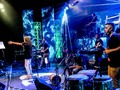 Streaming de La Mona: advierten a quienes compraron entradas