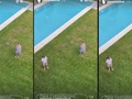 Emotivo video de Pampita a distancia de sus hijos en pleno aislamiento