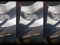 Mostró a su bebe!