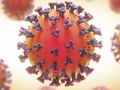 Coronavirus: las cifras más altas del año!