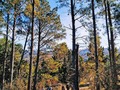 Te invito a disfrutar de postales de Córdoba