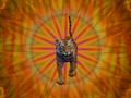 #fliiby Tiger on Fire - Kaleidoscope Art Design