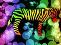 #fliiby Bokeh Rainbow Zebra - Abstract Art Design