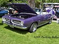 💜 ~ Awesome Purple Car ~ Saturday Challenge ~💜 --