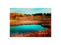 Autumn Trees and Marshland Newfoundland Canada Poster via zazzle