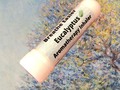 Breathe Easier Eucalyptus Aromatherapy Inhaler for Stuffy Nose, Congestion, Common Cold, Influenza via Etsy