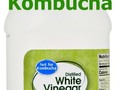 Why Vinegar is Unnecessary for Making Kombucha - Kombucha Kamp