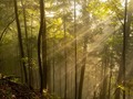 The Sun and its Benefits #sun #benefits #health