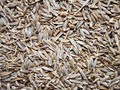 "6 Health Benefits of Cumin and Jaggery" by vocal_creators #cumin #jaggery #health