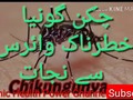 Chikungunya Sy Nijaat