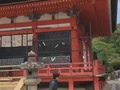 osakaworld Most Famous Temple of #Japan Kiyomizu #Kyoto #Jpnscope periscopetv