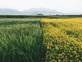 Law: The Invisible Architecture of the Commons by Saki Bailey, Shareable: In 2009, polit…