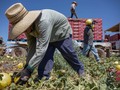 How the work ethic became a substitute for good jobs – via aeonmag