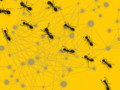 Social Updates: Scientists are studying an to create better network analysis