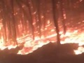 Wildfires in Tennessee forced a whole town to evacuate - The entire town of Gatlinburg, Tennessee, was ordered ...