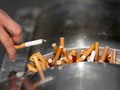 One of the world's largest tobacco manufacturers is considering a future where it no longer sells traditional c...