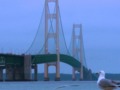 I just liked "Mackinac Bridge timelapse" on Vimeo: