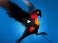 I just liked “On Freedom - Trailer” on #Vimeo: