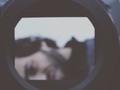 I just liked “Reel” on #Vimeo: