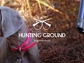 I just liked “HUNTING GROUND” by CharlelieC on #Vimeo: