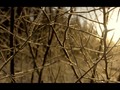 I just liked “Winter Sunset” on #Vimeo: