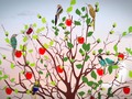 I just liked “The miracle of the desert” on #Vimeo: