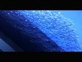 I just liked “Telenor - Samsung S6” on #Vimeo: