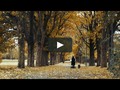 I just liked “Vigelandsparken, Oslo - Sony a7sii” on #Vimeo: