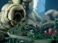 I just liked “Jordan - The Feast” on #Vimeo: